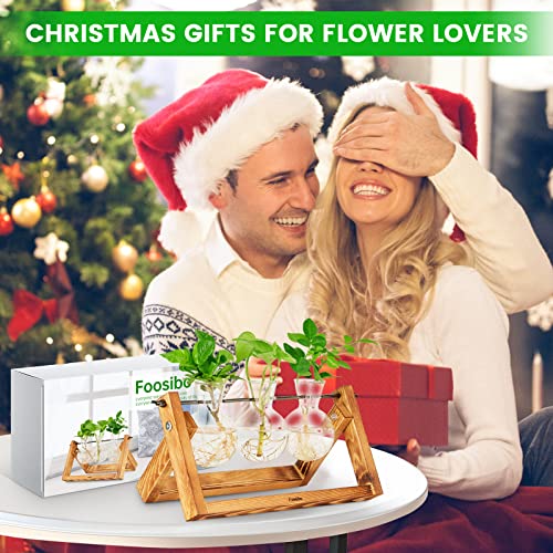 Creative Plant Terrarium with Wooden Stand, Air Planter Bulb Glass Vase Metal Swivel Holder Retro Tabletop for Hydroponics Home Garden Office Decoration