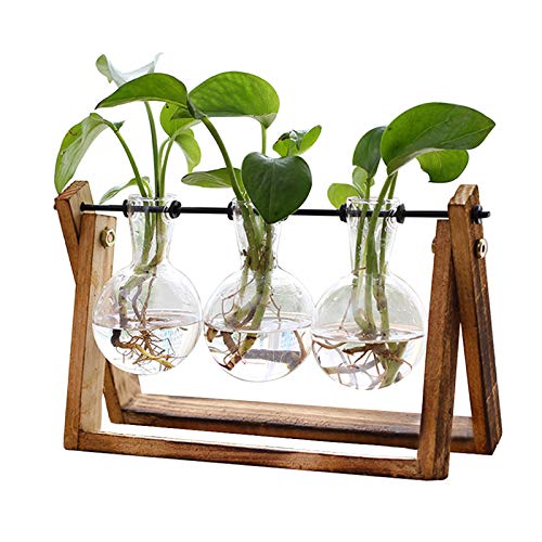 Creative Plant Terrarium with Wooden Stand, Air Planter Bulb Glass Vase Metal Swivel Holder Retro Tabletop for Hydroponics Home Garden Office Decoration