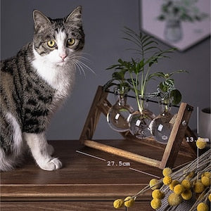 Creative Plant Terrarium with Wooden Stand, Air Planter Bulb Glass Vase Metal Swivel Holder Retro Tabletop for Hydroponics Home Garden Office Decoration