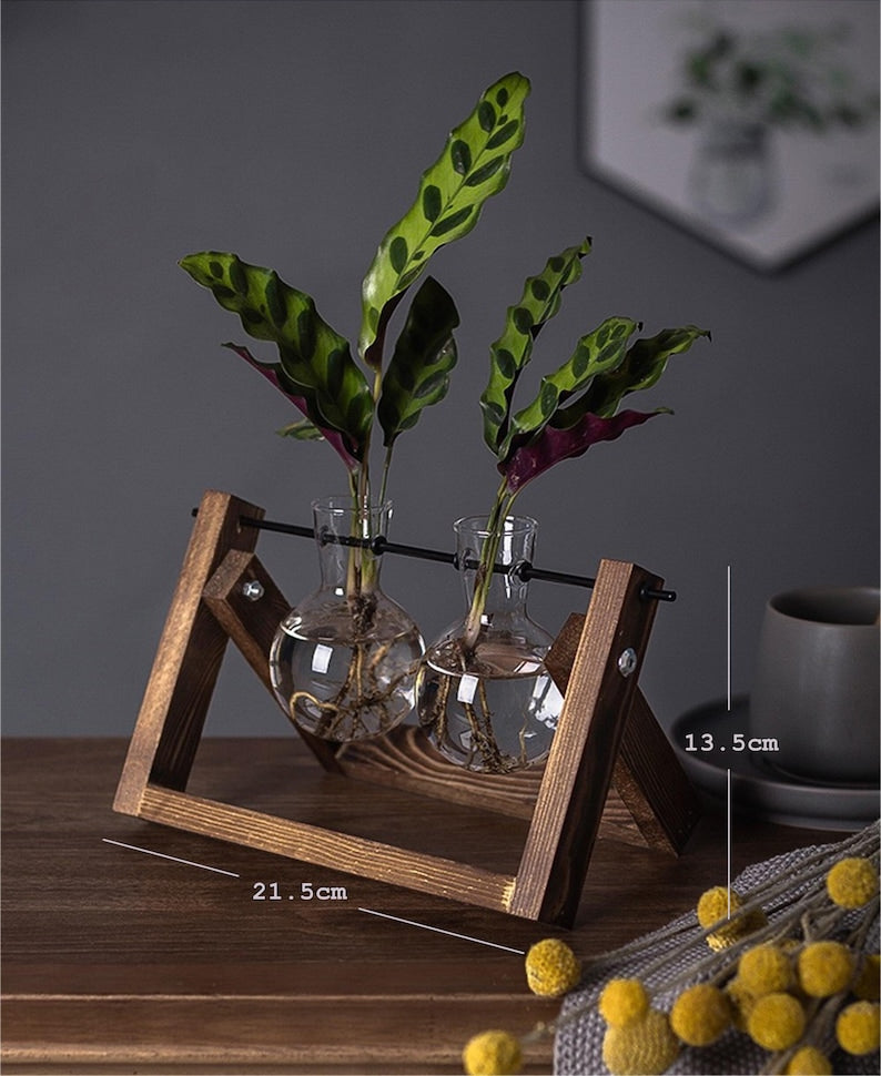 Creative Plant Terrarium with Wooden Stand, Air Planter Bulb Glass Vase Metal Swivel Holder Retro Tabletop for Hydroponics Home Garden Office Decoration