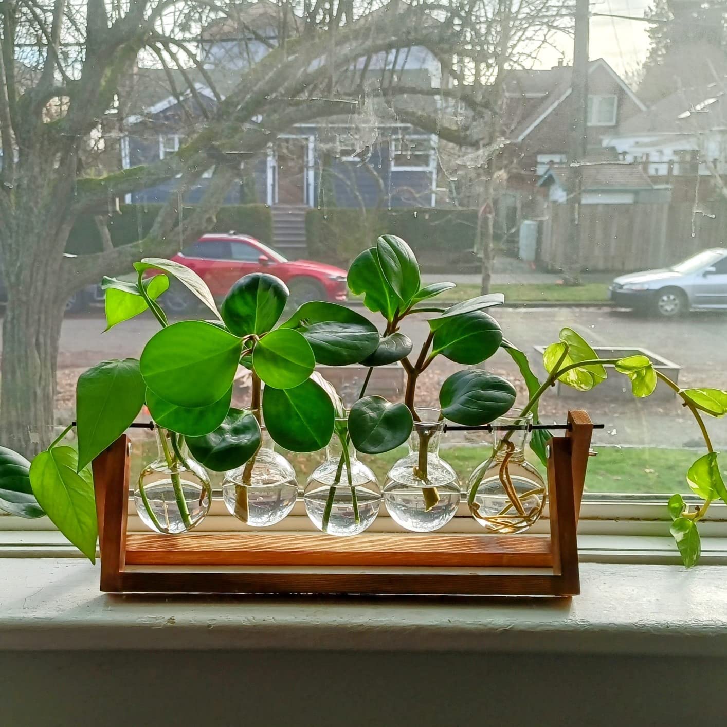 Creative Plant Terrarium with Wooden Stand, Air Planter Bulb Glass Vase Metal Swivel Holder Retro Tabletop for Hydroponics Home Garden Office Decoration