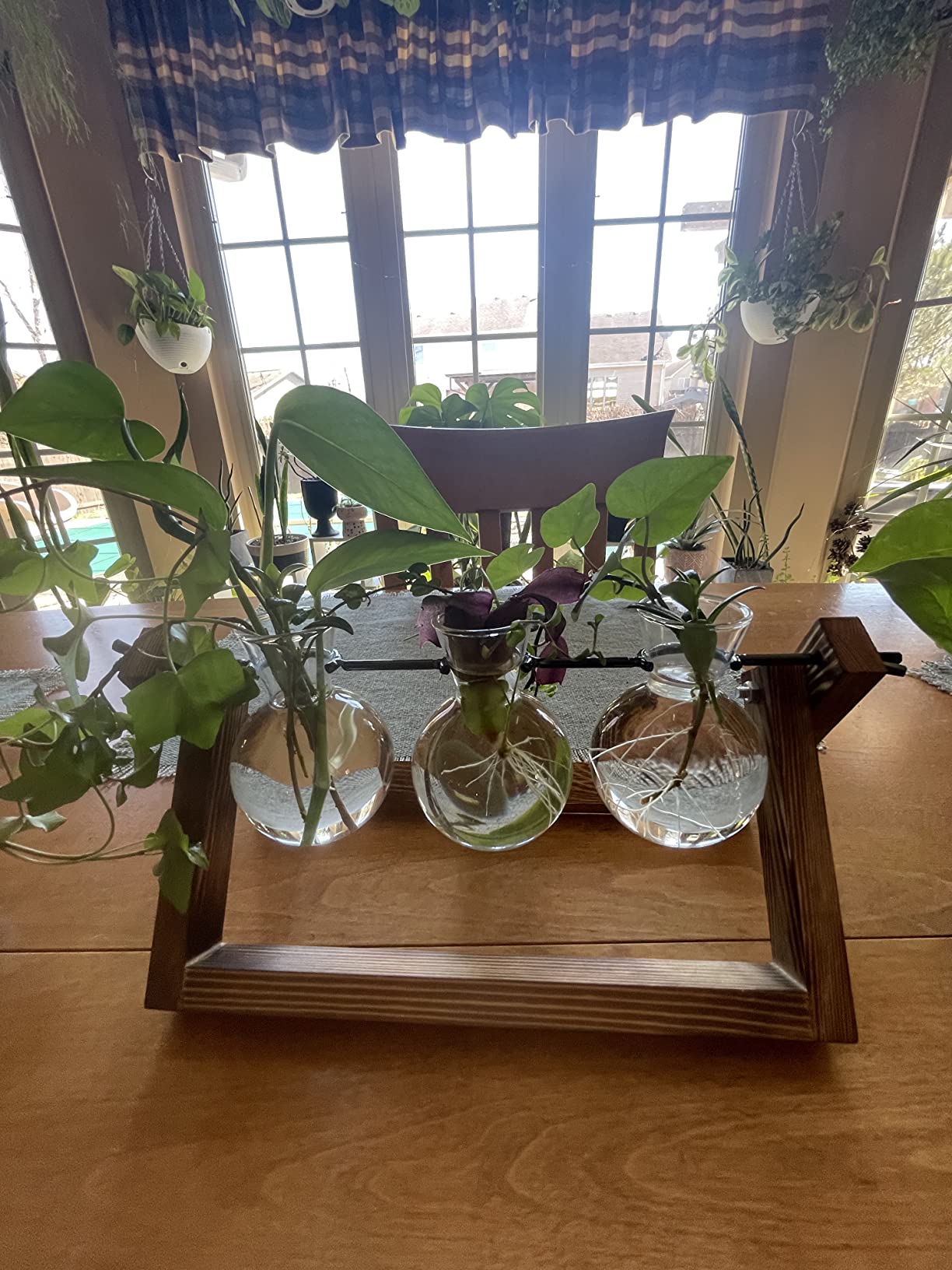 Creative Plant Terrarium with Wooden Stand, Air Planter Bulb Glass Vase Metal Swivel Holder Retro Tabletop for Hydroponics Home Garden Office Decoration