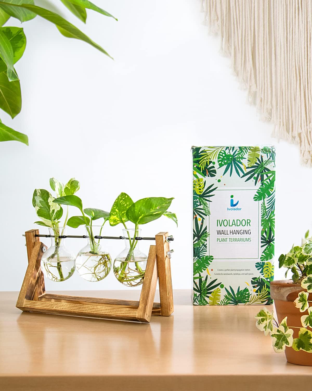 Creative Plant Terrarium with Wooden Stand, Air Planter Bulb Glass Vase Metal Swivel Holder Retro Tabletop for Hydroponics Home Garden Office Decoration