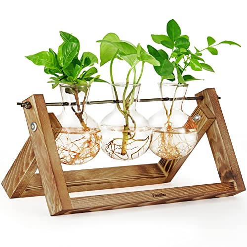 Creative Plant Terrarium with Wooden Stand, Air Planter Bulb Glass Vase Metal Swivel Holder Retro Tabletop for Hydroponics Home Garden Office Decoration