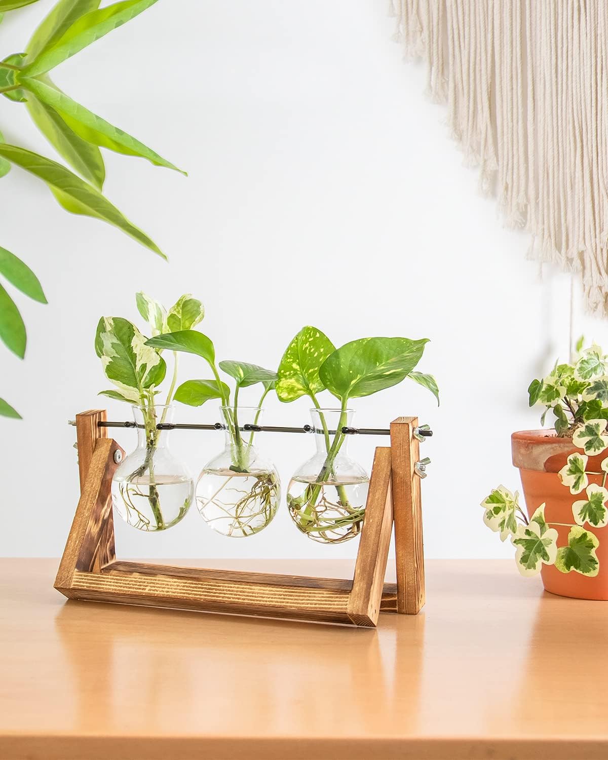 Creative Plant Terrarium with Wooden Stand, Air Planter Bulb Glass Vase Metal Swivel Holder Retro Tabletop for Hydroponics Home Garden Office Decoration