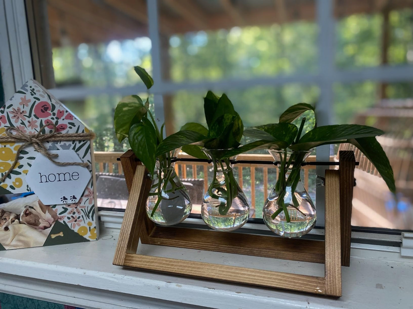 Creative Plant Terrarium with Wooden Stand, Air Planter Bulb Glass Vase Metal Swivel Holder Retro Tabletop for Hydroponics Home Garden Office Decoration