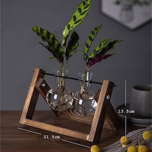 Creative Plant Terrarium with Wooden Stand, Air Planter Bulb Glass Vase Metal Swivel Holder Retro Tabletop for Hydroponics Home Garden Office Decoration