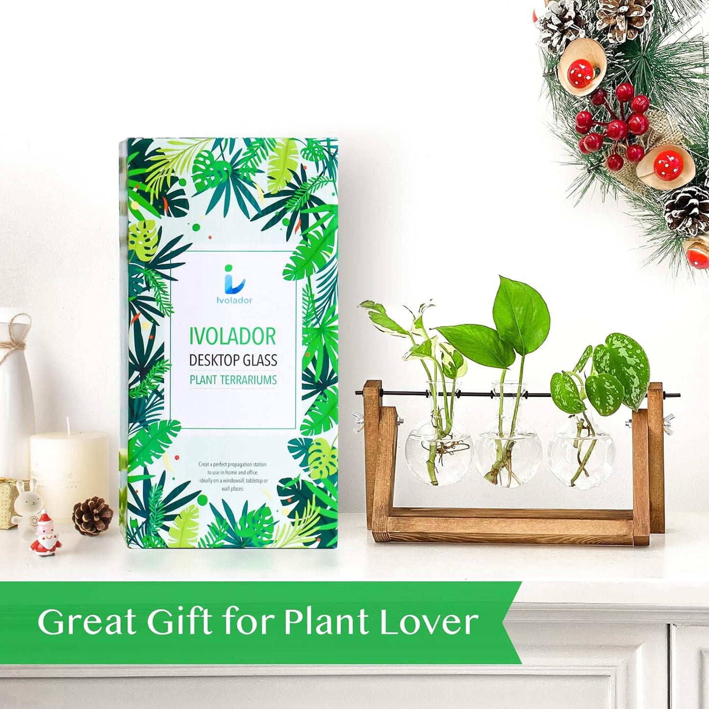 Creative Plant Terrarium with Wooden Stand, Air Planter Bulb Glass Vase Metal Swivel Holder Retro Tabletop for Hydroponics Home Garden Office Decoration