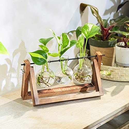 Creative Plant Terrarium with Wooden Stand, Air Planter Bulb Glass Vase Metal Swivel Holder Retro Tabletop for Hydroponics Home Garden Office Decoration