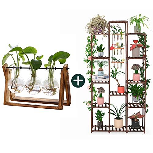 Creative Plant Terrarium with Wooden Stand, Air Planter Bulb Glass Vase Metal Swivel Holder Retro Tabletop for Hydroponics Home Garden Office Decoration