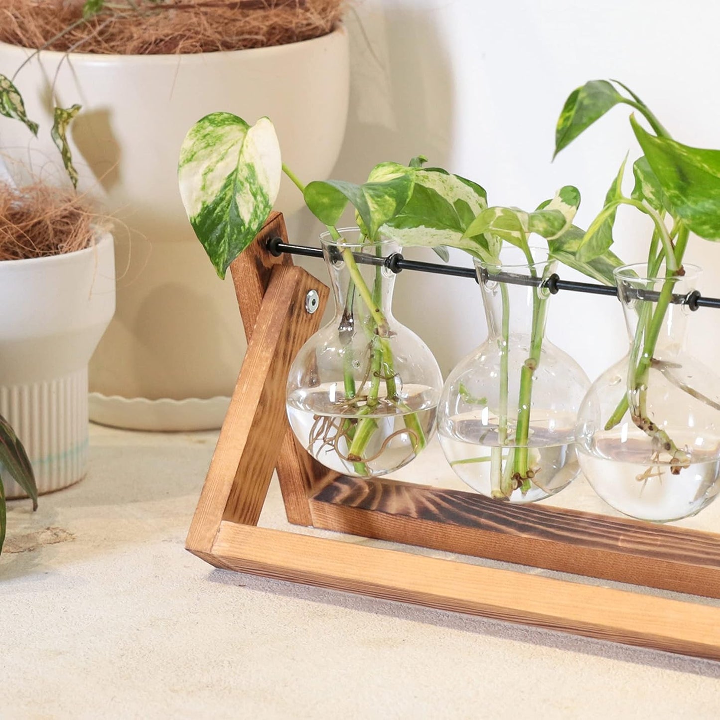 Creative Plant Terrarium with Wooden Stand, Air Planter Bulb Glass Vase Metal Swivel Holder Retro Tabletop for Hydroponics Home Garden Office Decoration