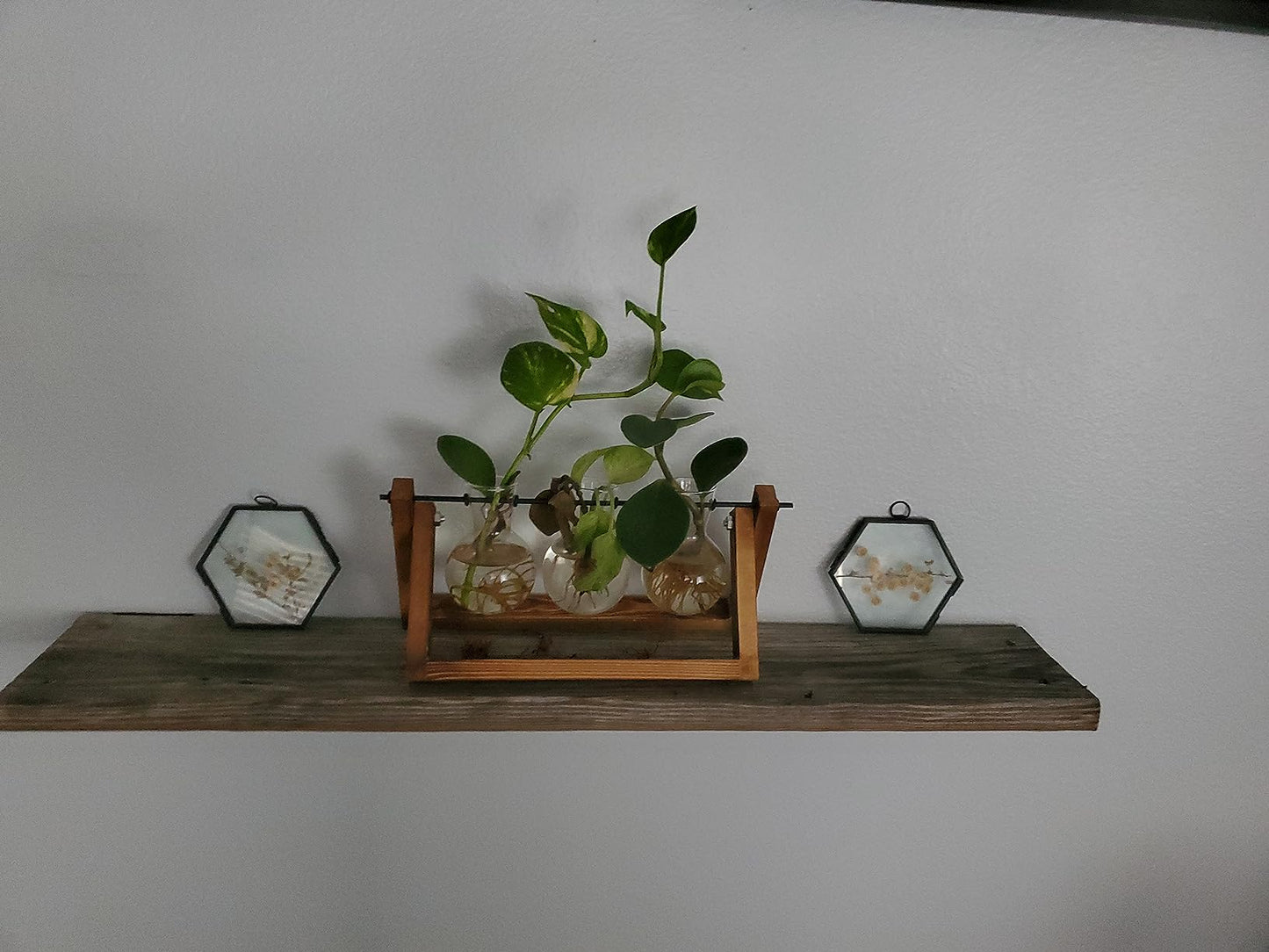 Creative Plant Terrarium with Wooden Stand, Air Planter Bulb Glass Vase Metal Swivel Holder Retro Tabletop for Hydroponics Home Garden Office Decoration