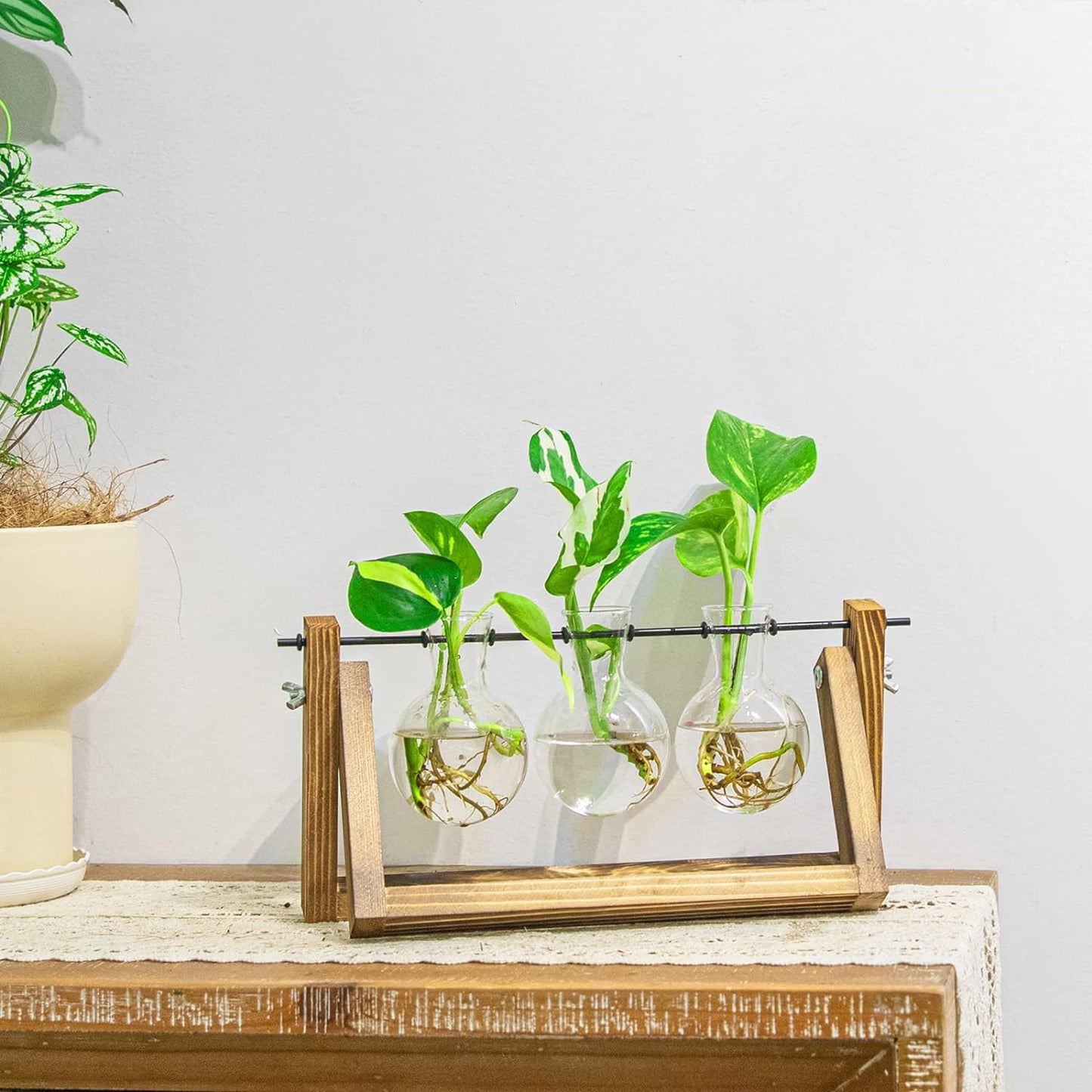 Creative Plant Terrarium with Wooden Stand, Air Planter Bulb Glass Vase Metal Swivel Holder Retro Tabletop for Hydroponics Home Garden Office Decoration