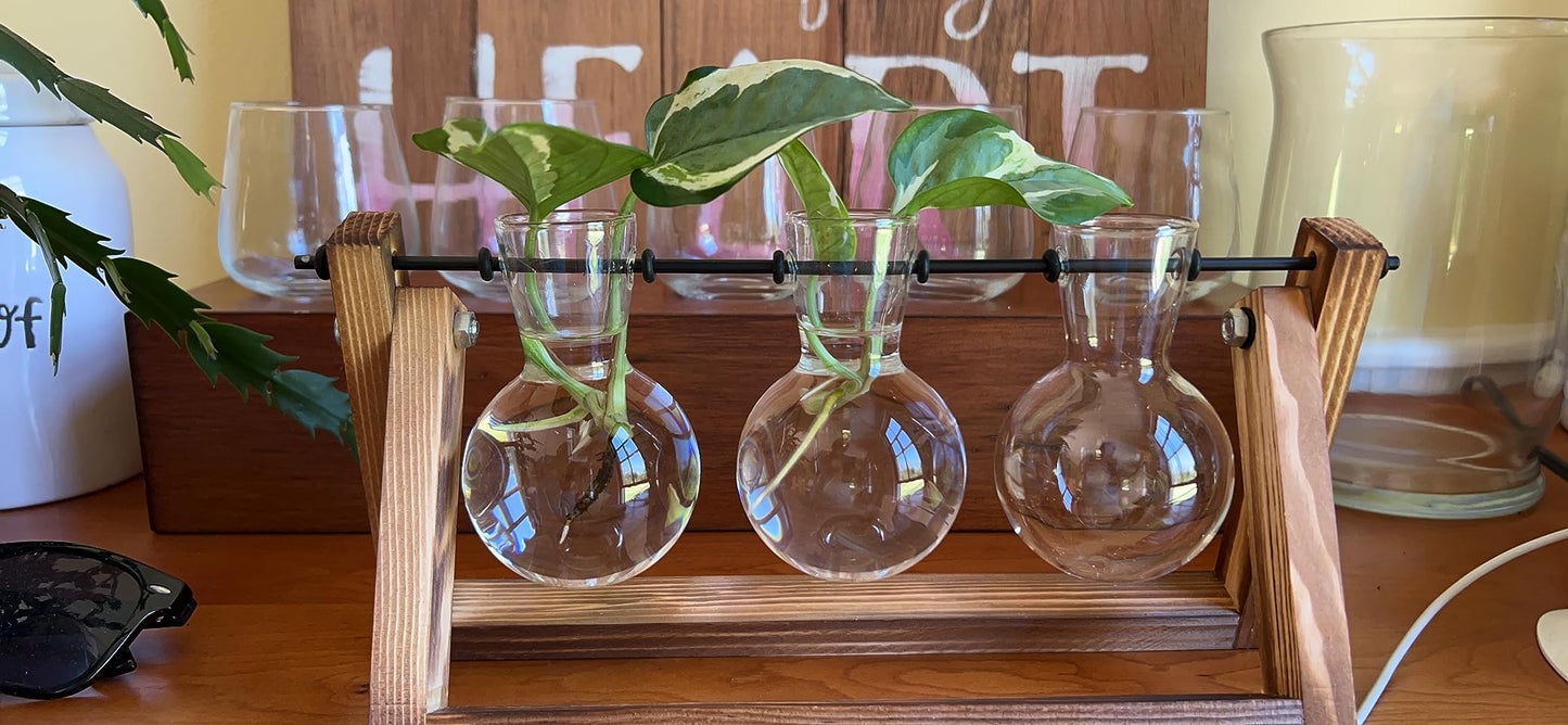 Creative Plant Terrarium with Wooden Stand, Air Planter Bulb Glass Vase Metal Swivel Holder Retro Tabletop for Hydroponics Home Garden Office Decoration