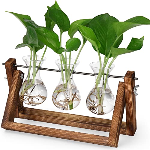 Creative Plant Terrarium with Wooden Stand, Air Planter Bulb Glass Vase Metal Swivel Holder Retro Tabletop for Hydroponics Home Garden Office Decoration
