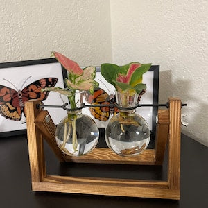 Creative Plant Terrarium with Wooden Stand, Air Planter Bulb Glass Vase Metal Swivel Holder Retro Tabletop for Hydroponics Home Garden Office Decoration