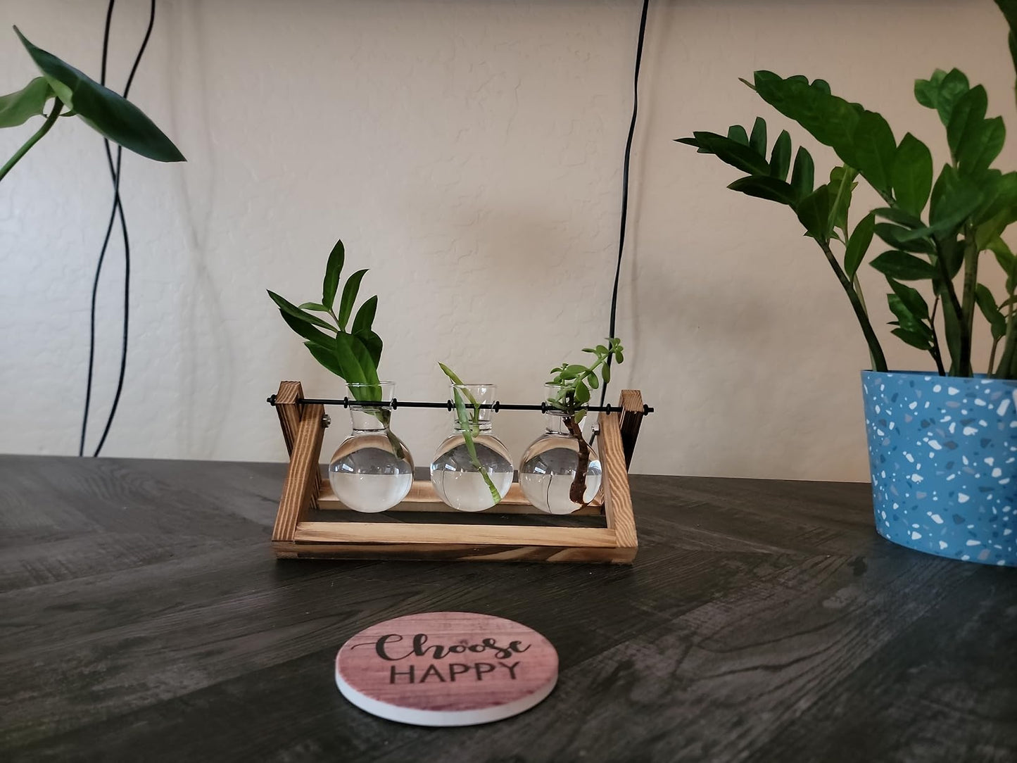 Creative Plant Terrarium with Wooden Stand, Air Planter Bulb Glass Vase Metal Swivel Holder Retro Tabletop for Hydroponics Home Garden Office Decoration