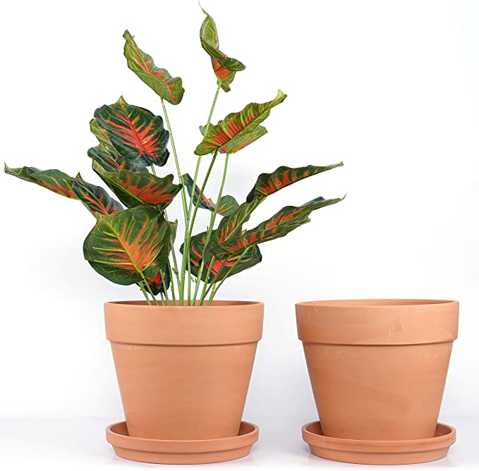 Terra Cotta Pots with Saucer - Multiple Pack Small & Large Terra Cotta Plant Pot with Drainage Hole, Flower Pot with Tray, Terracotta Pot for Indoor Outdoor Plant