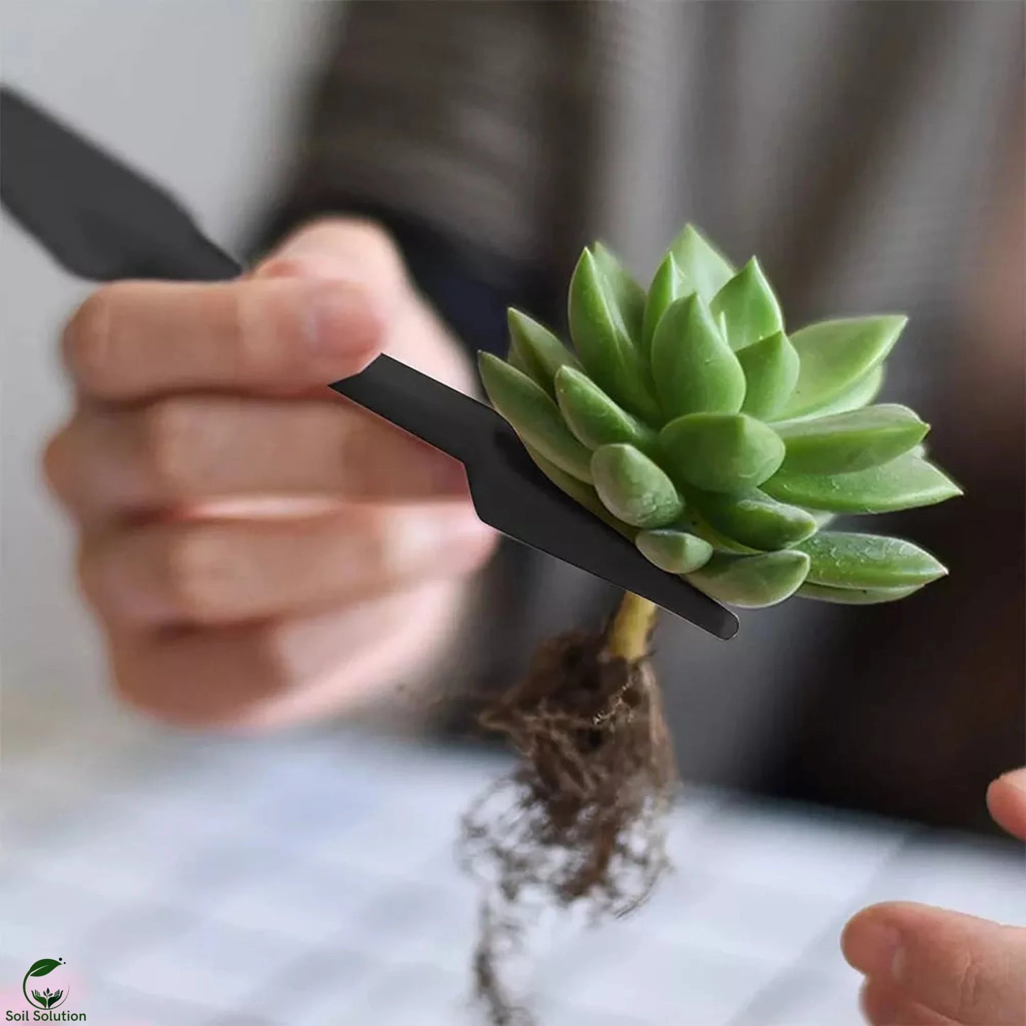 Soil Solution Biochar