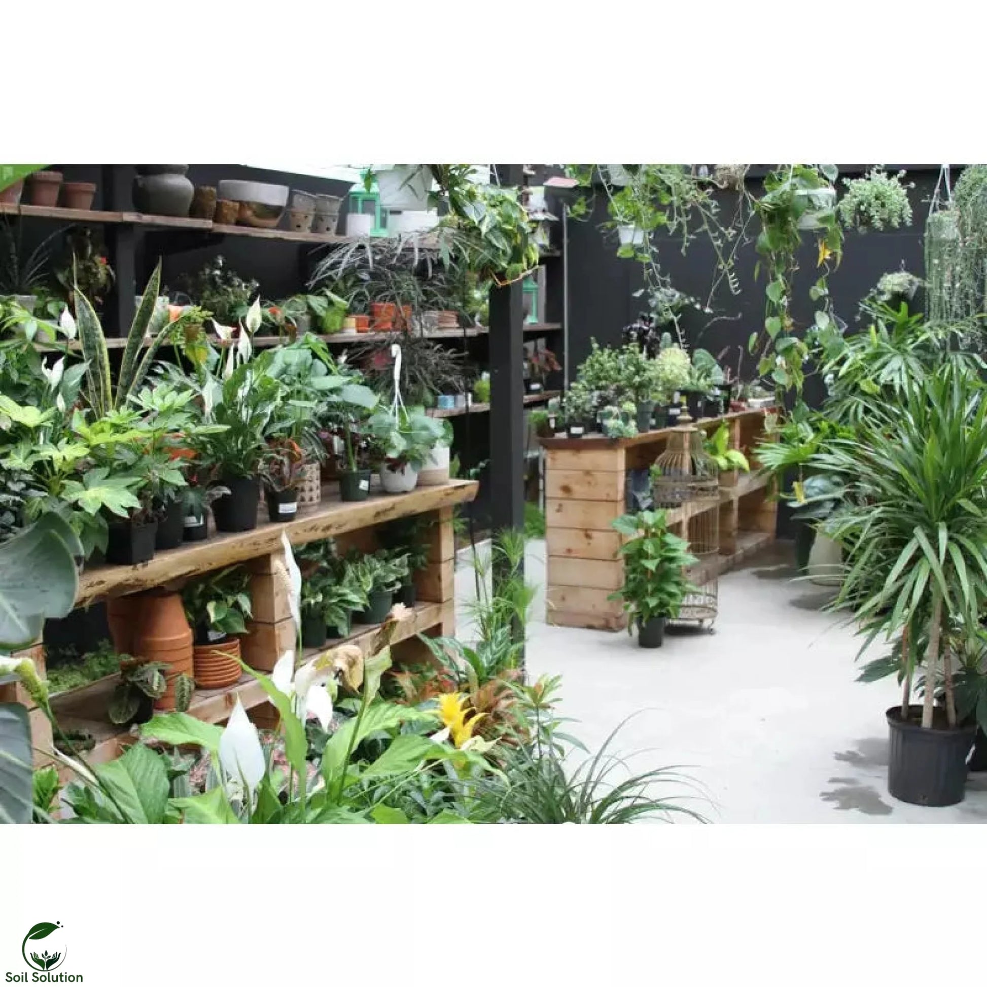 Soil Solution Biochar