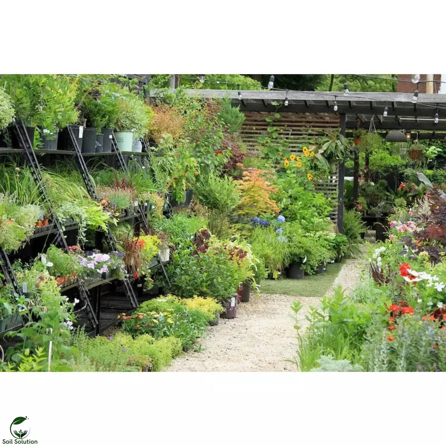 Soil Solution Biochar