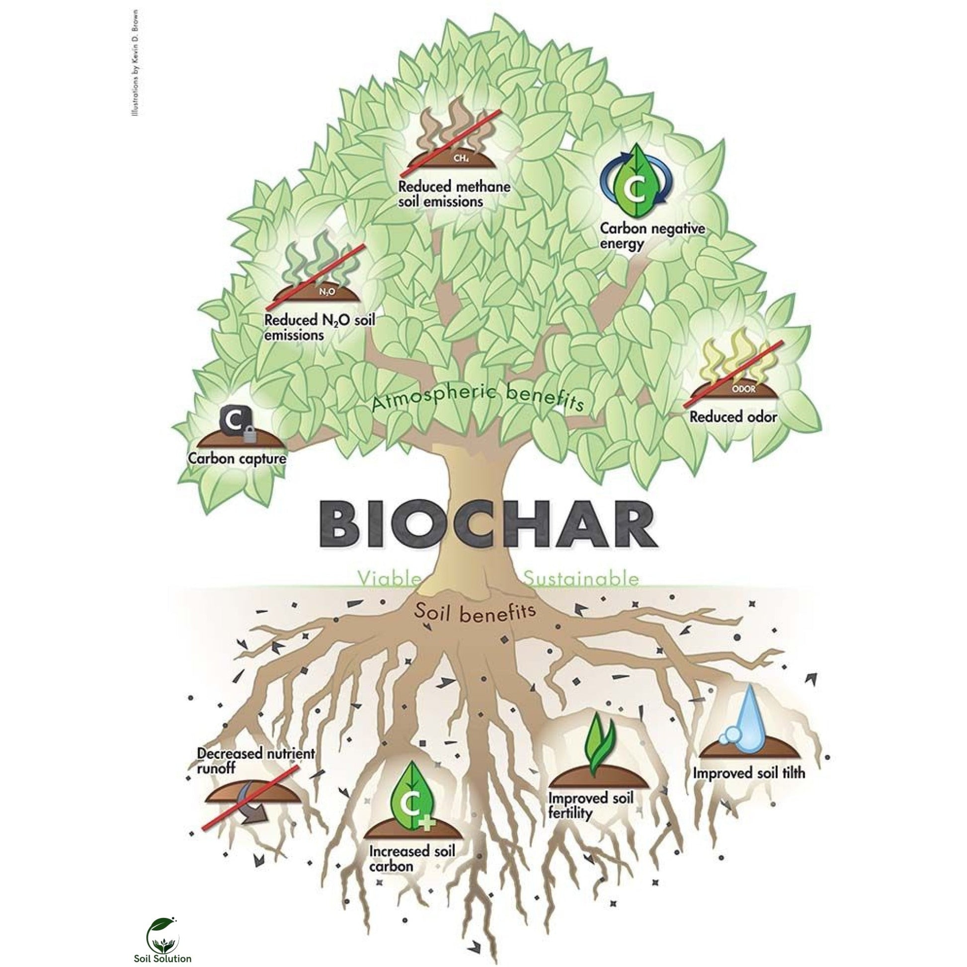 Soil Solution Biochar
