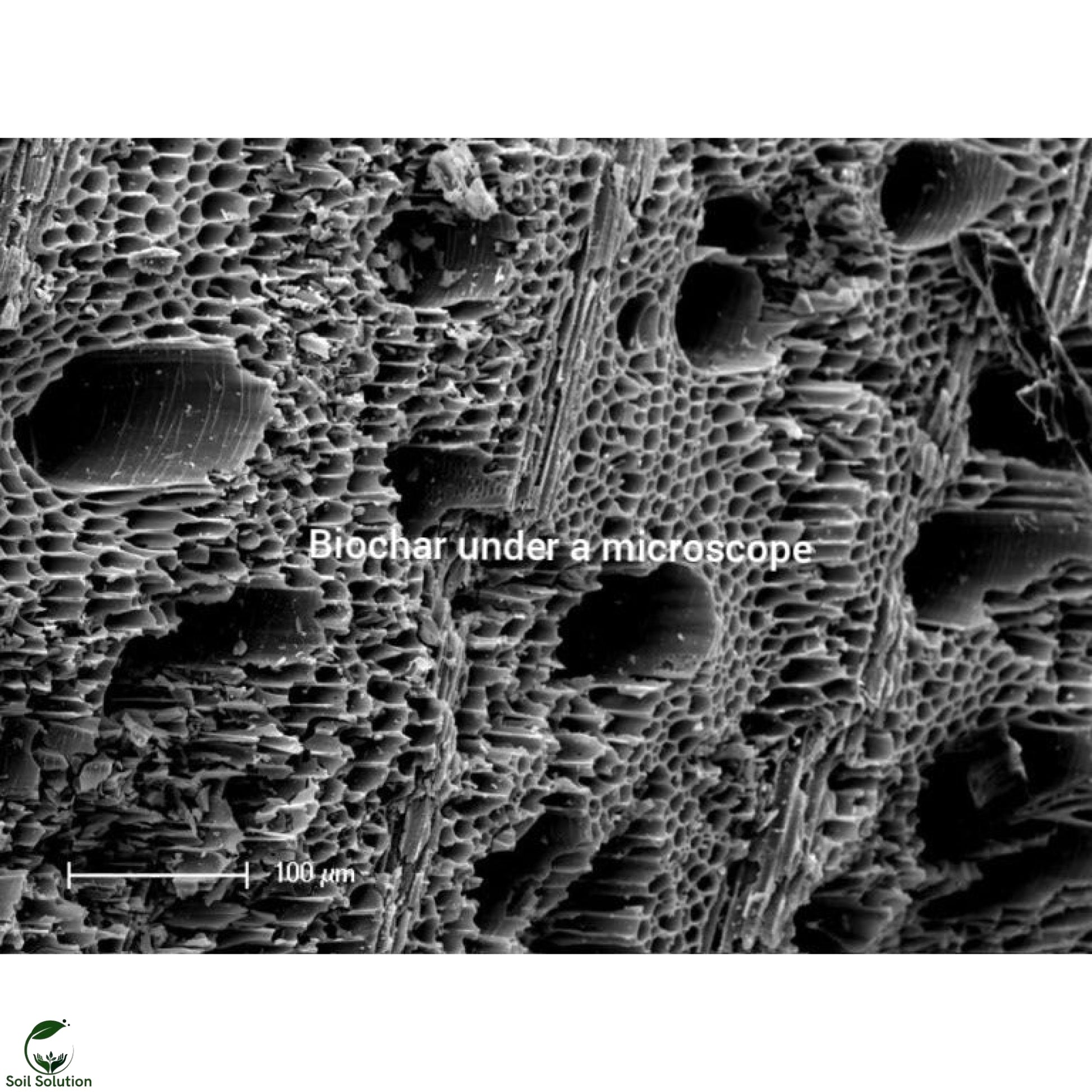 Soil Solution Biochar