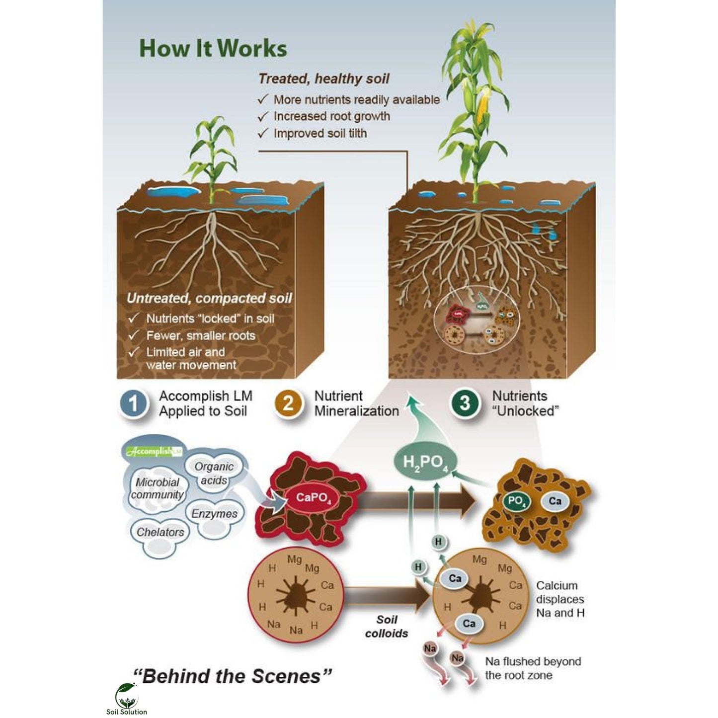 Soil Solution Biochar