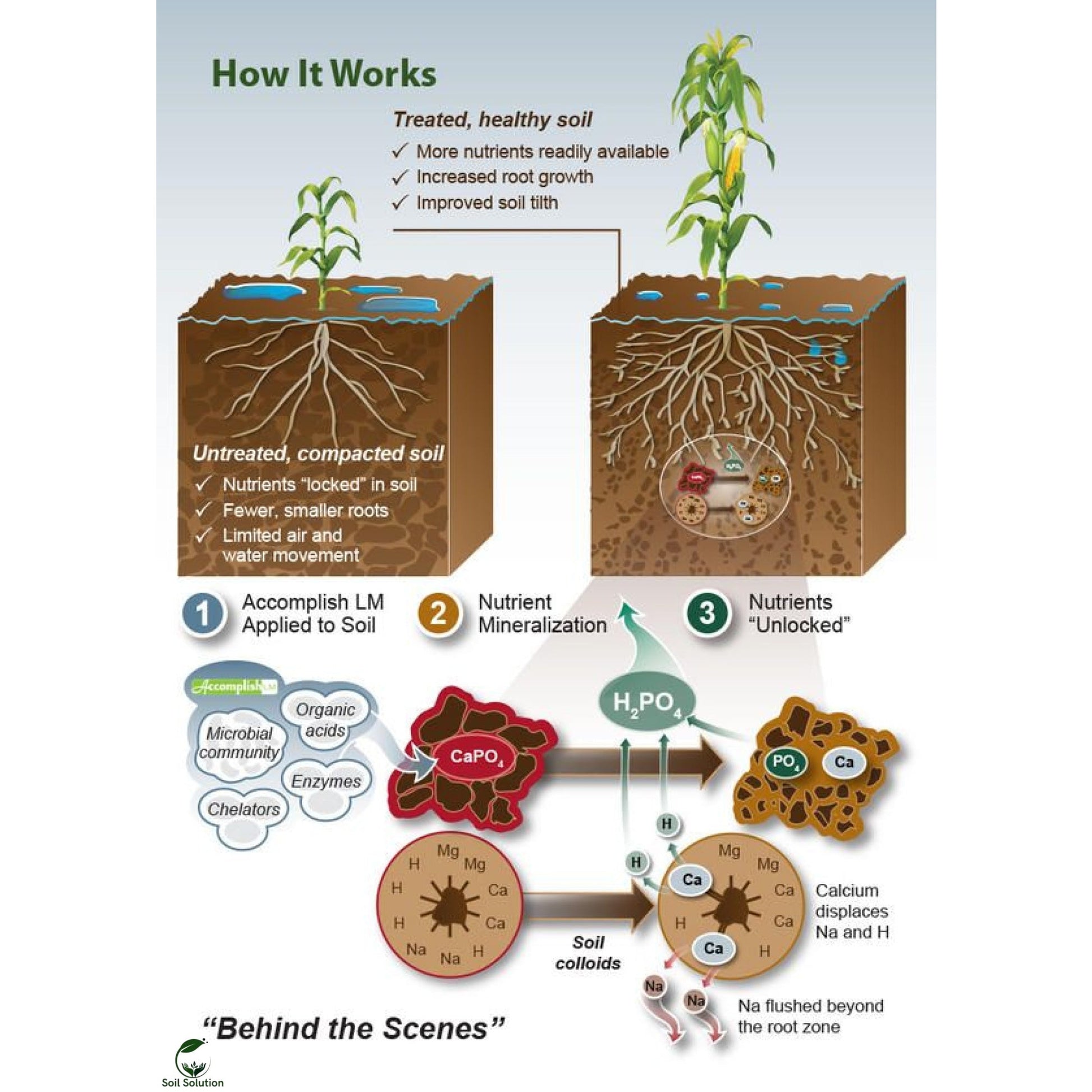 Soil Solution Biochar