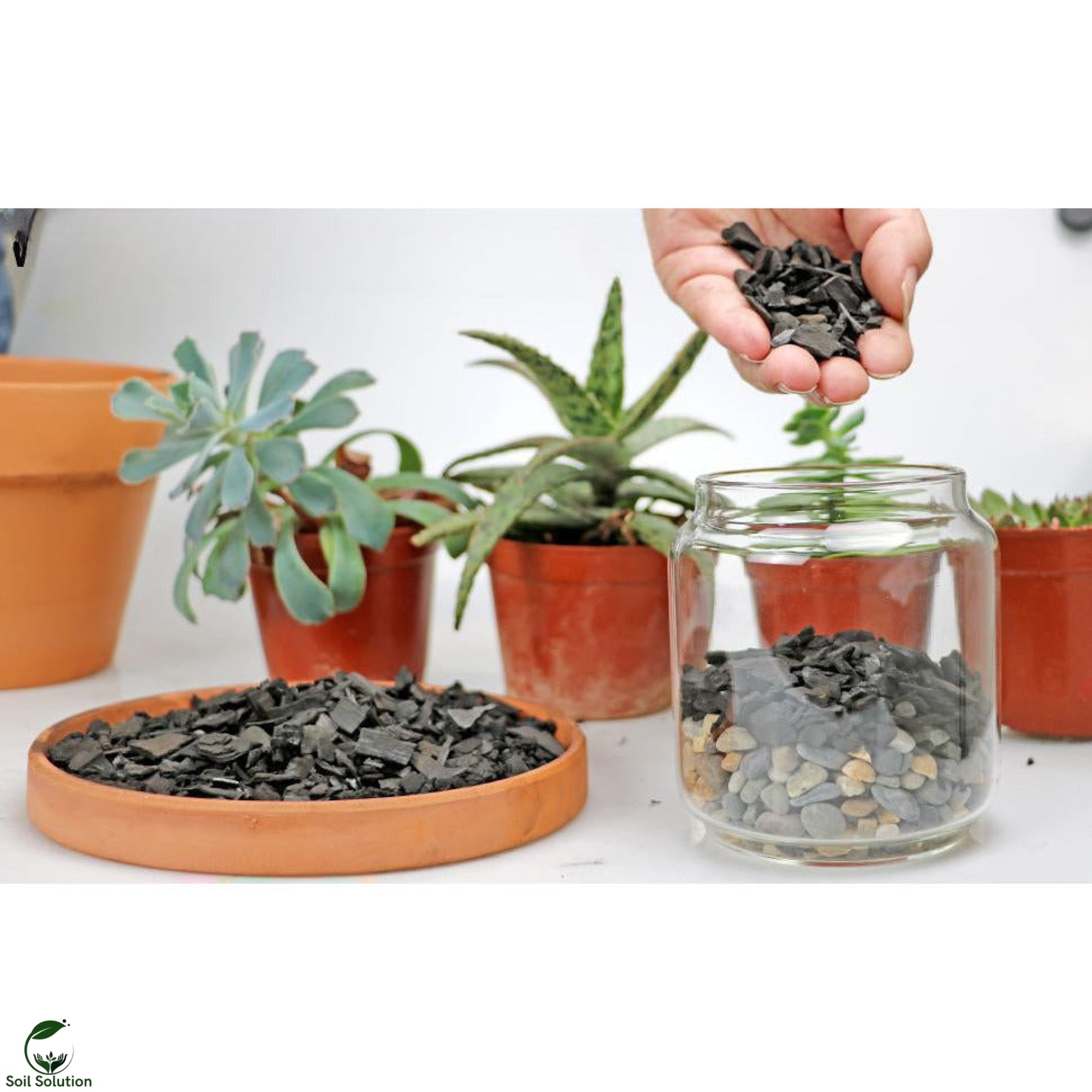 Soil Solution Biochar