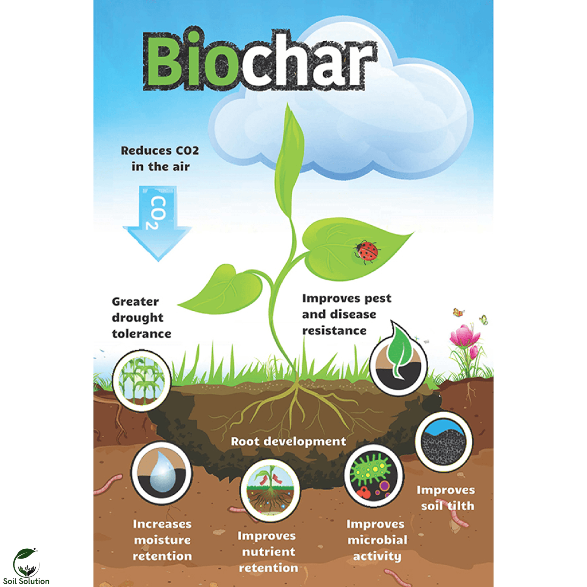 Soil Solution Biochar
