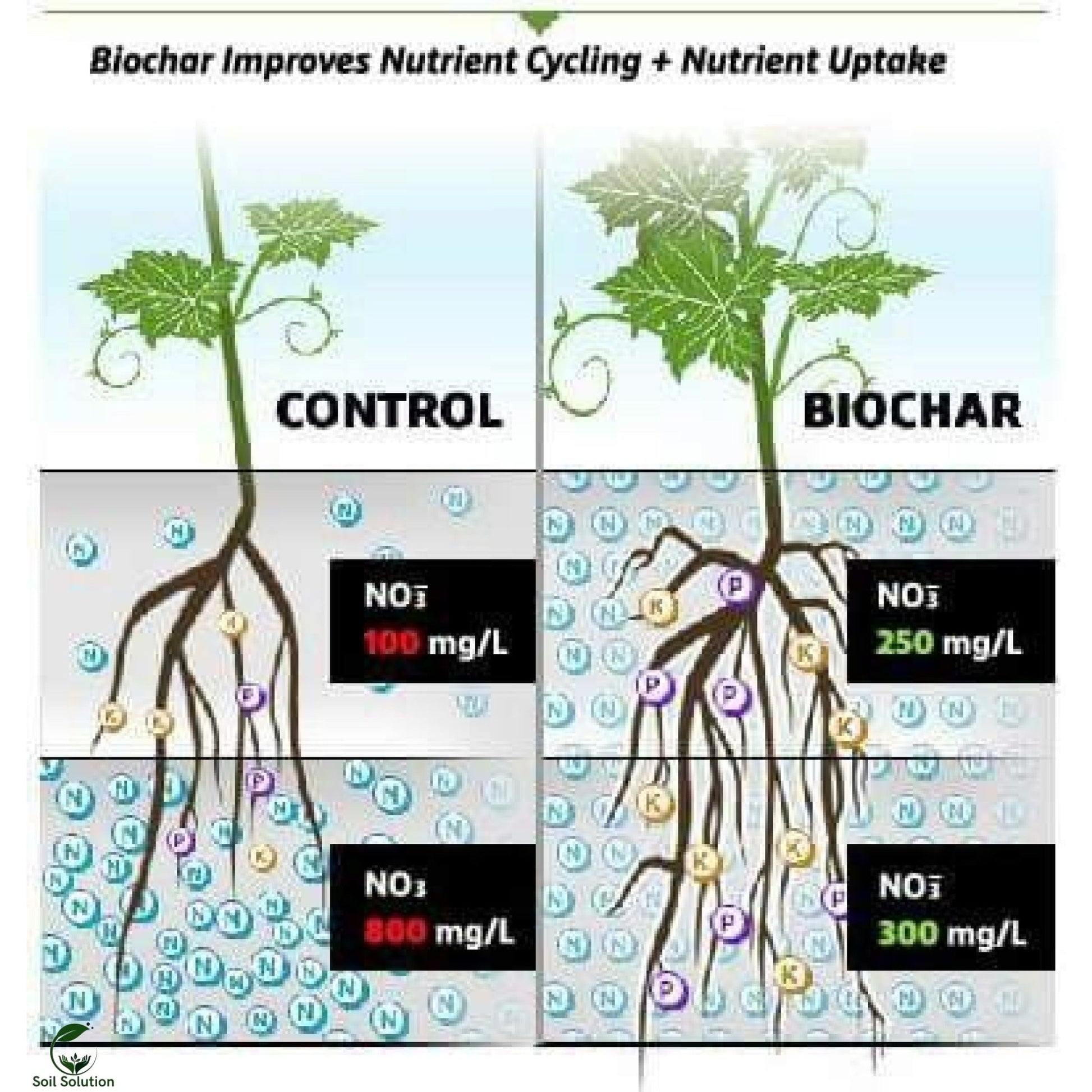 Soil Solution Biochar