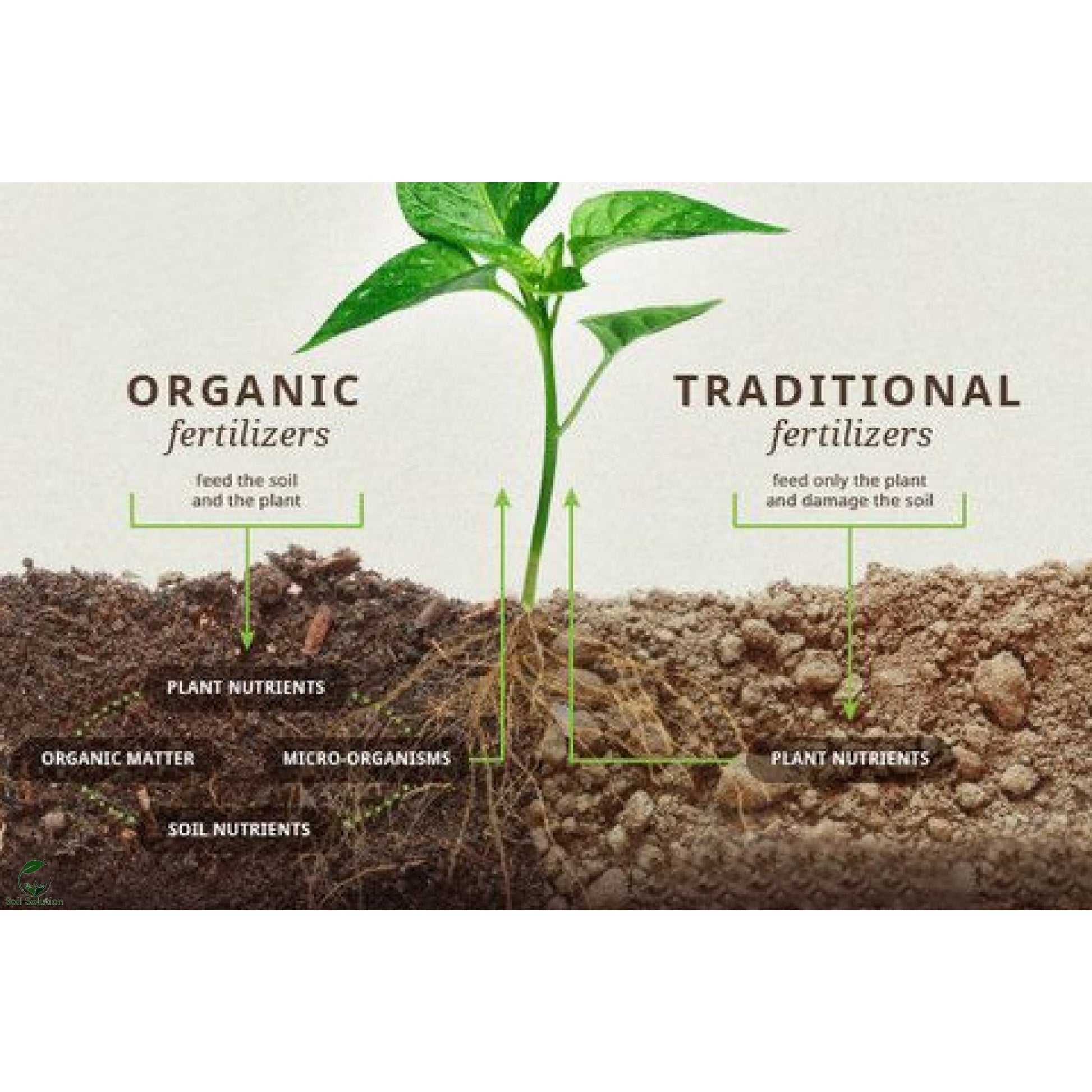 Soil Solution Biochar