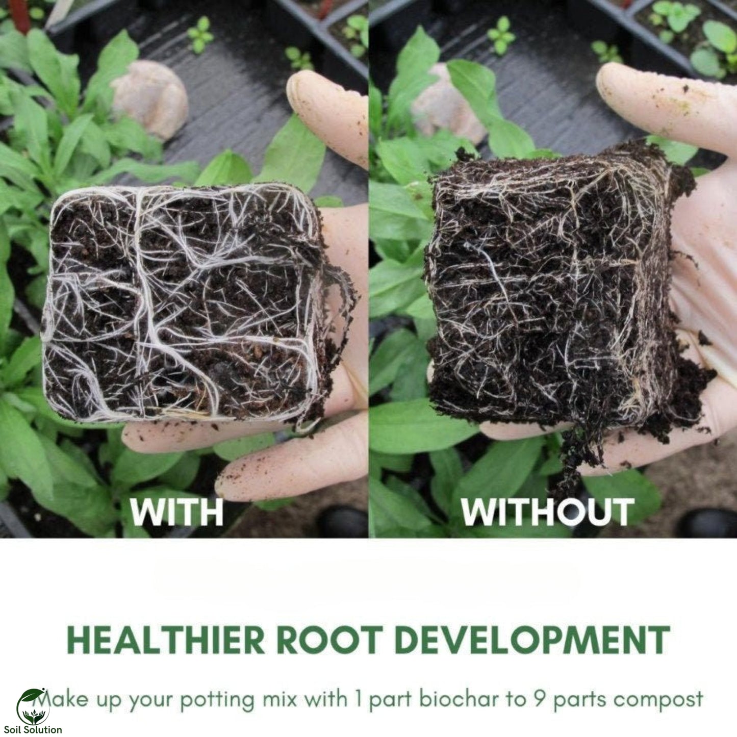 Soil Solution Biochar