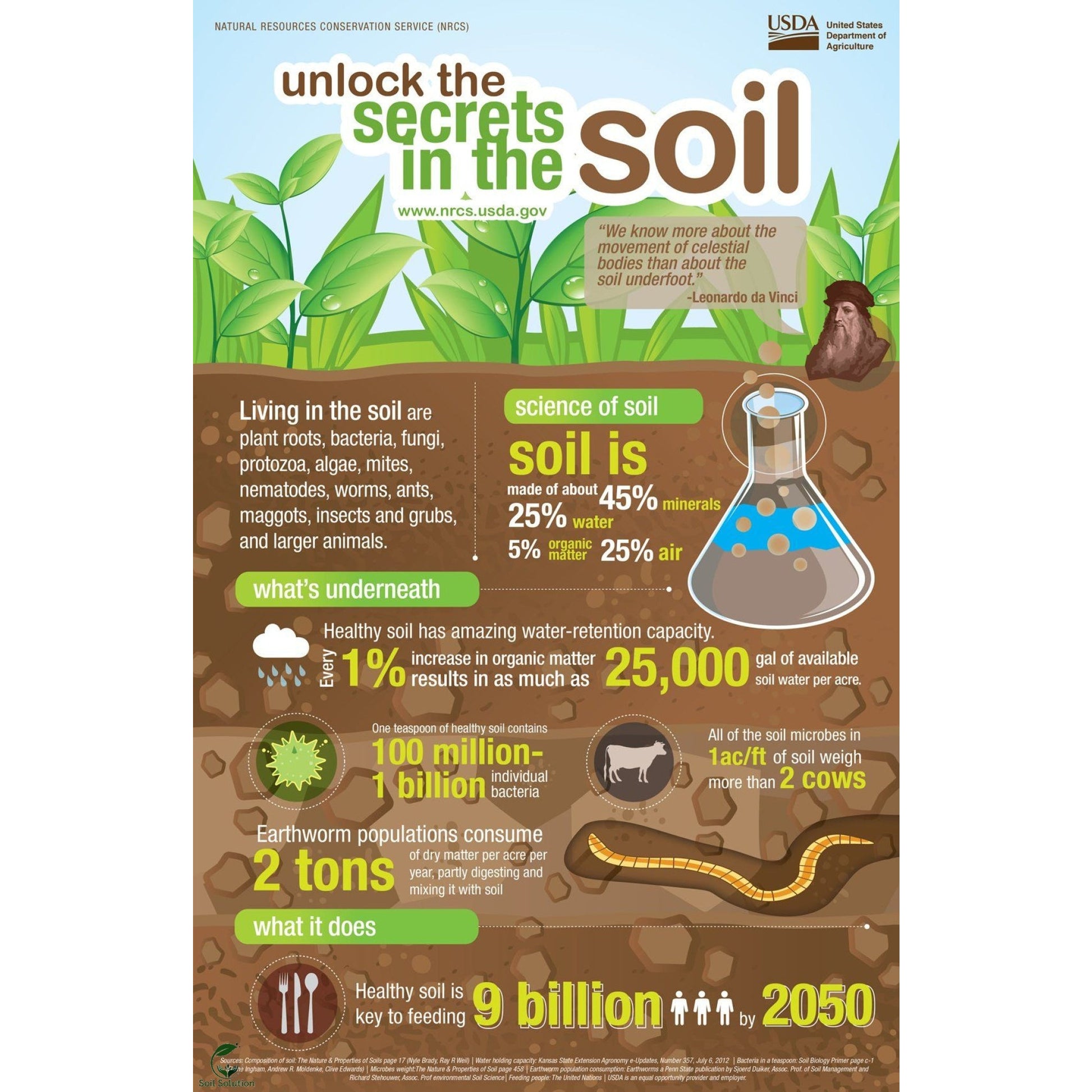 Soil Solution Biochar