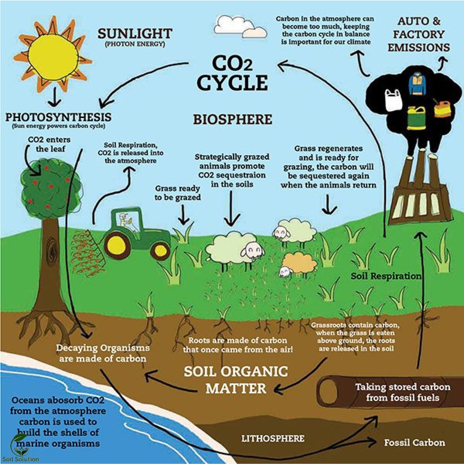 Soil Solution Biochar