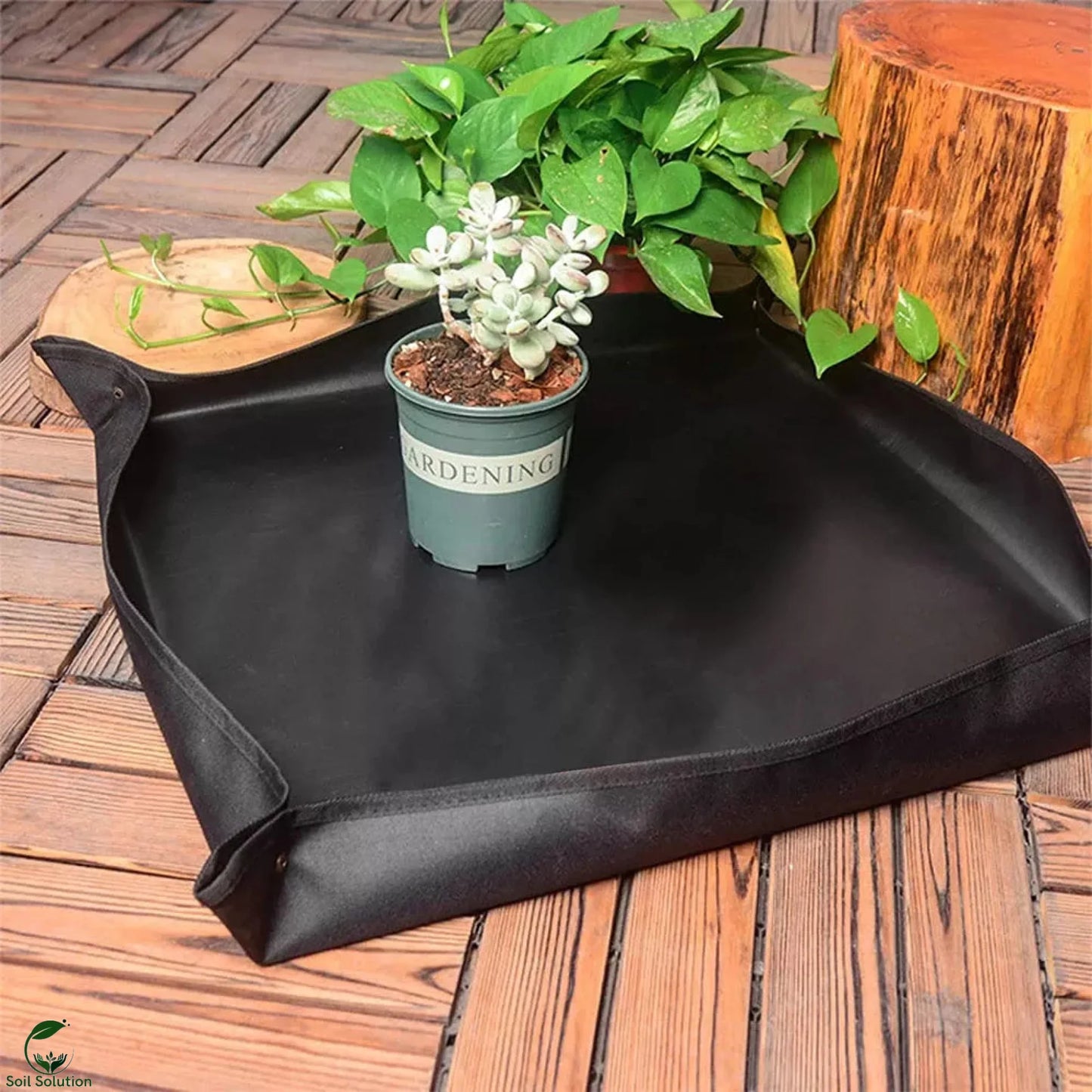 Soil Solution Biochar