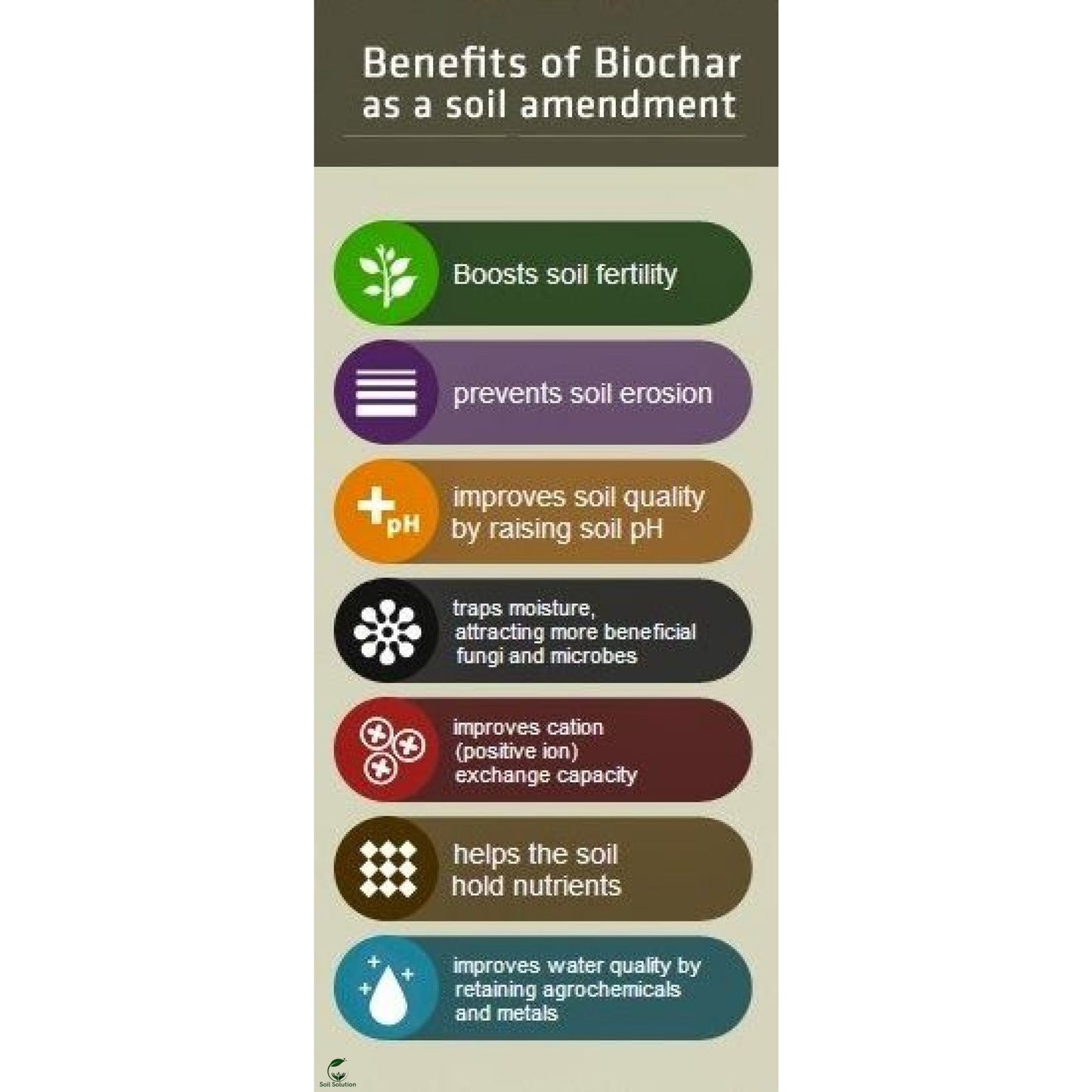 Soil Solution Biochar