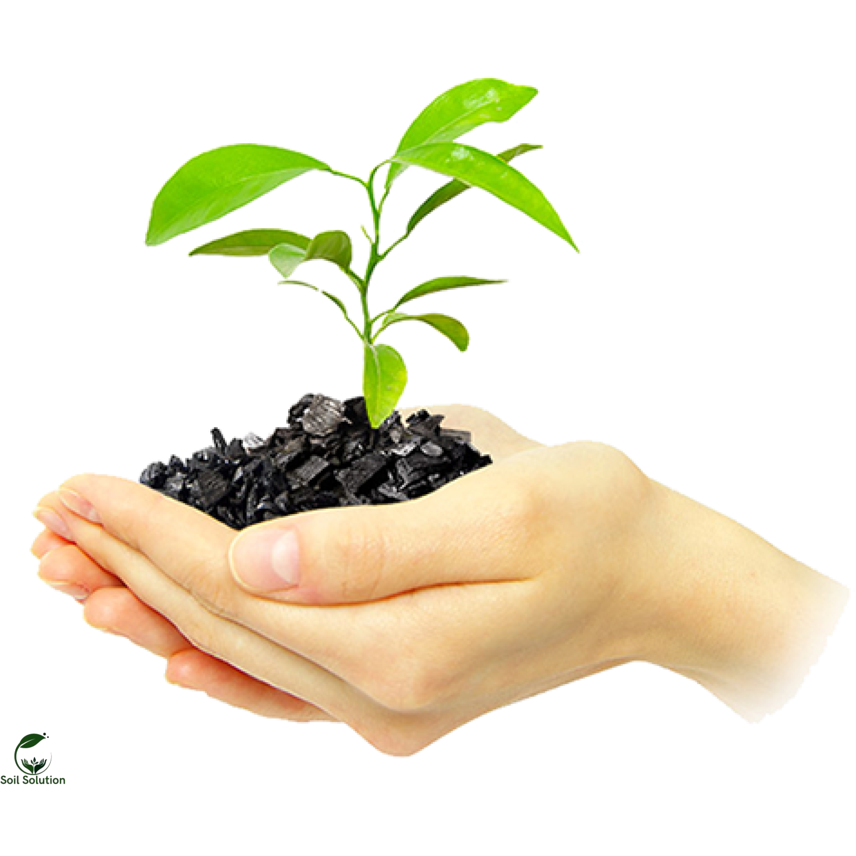 Soil Solution Biochar