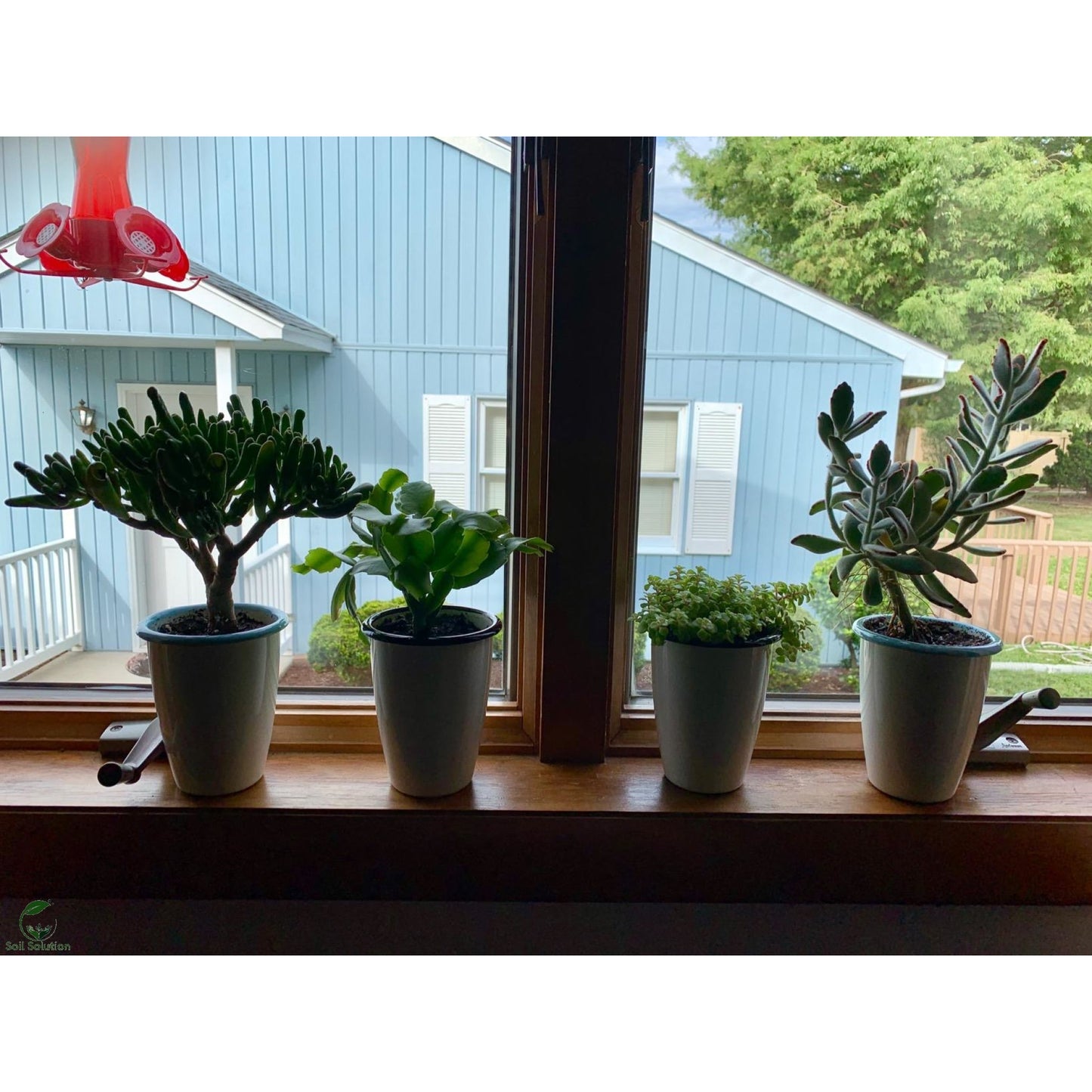 Soil Solution Biochar