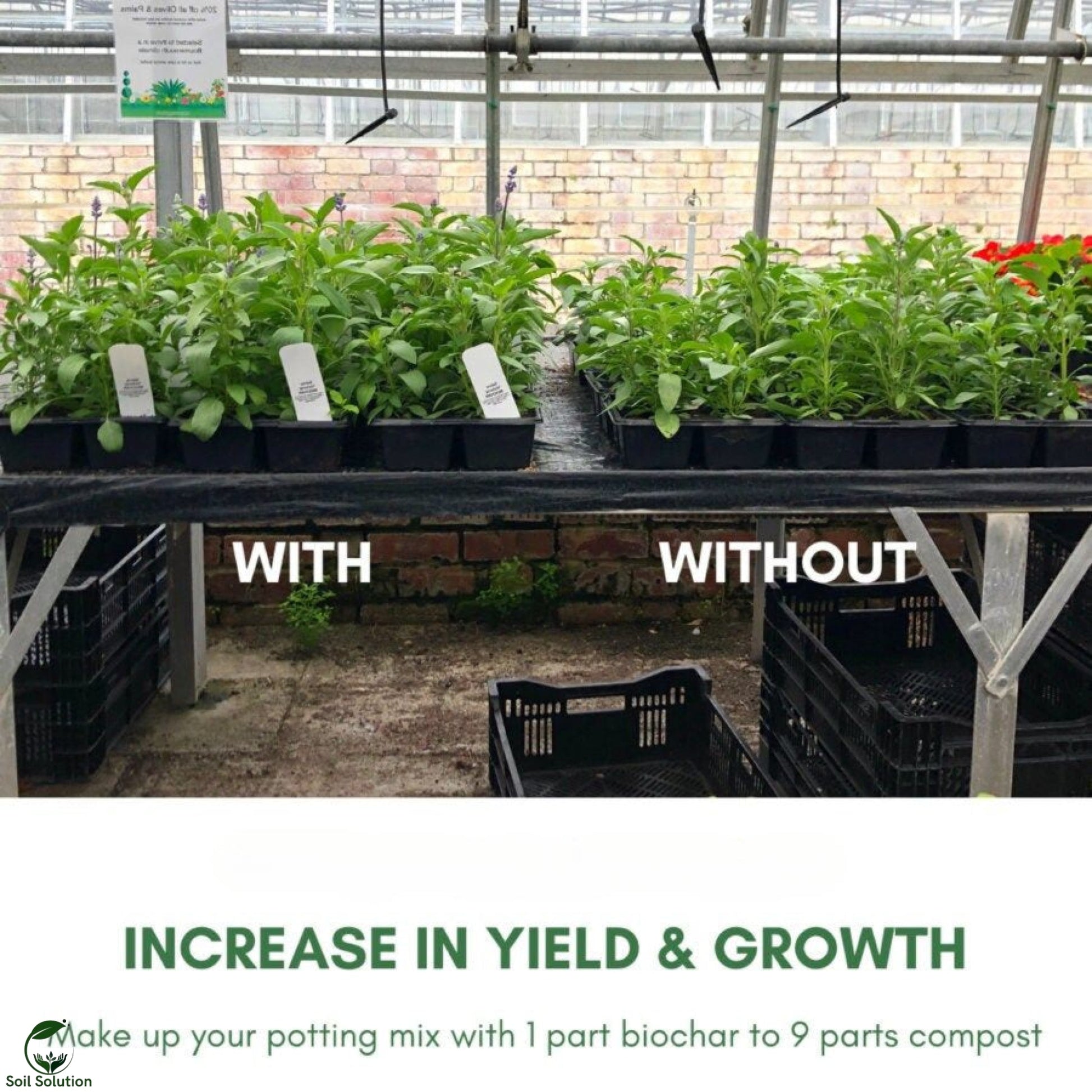 Soil Solution Biochar